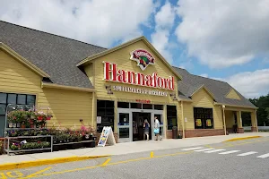 Hannaford image