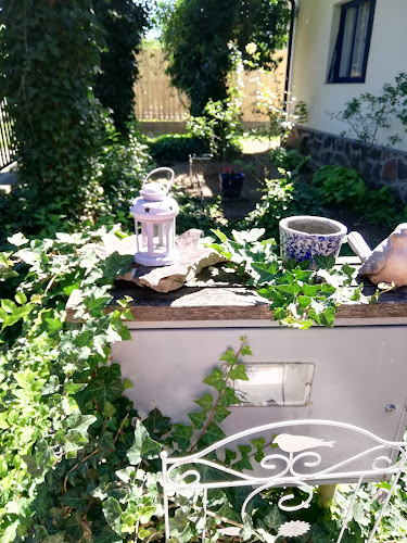 Bed and Breakfast Gödöllő - Gödöllő