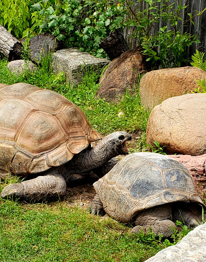 Zoo «NEW Zoo & Adventure Park», reviews and photos, 4378 Reforestation Rd, Green Bay, WI 54313, USA