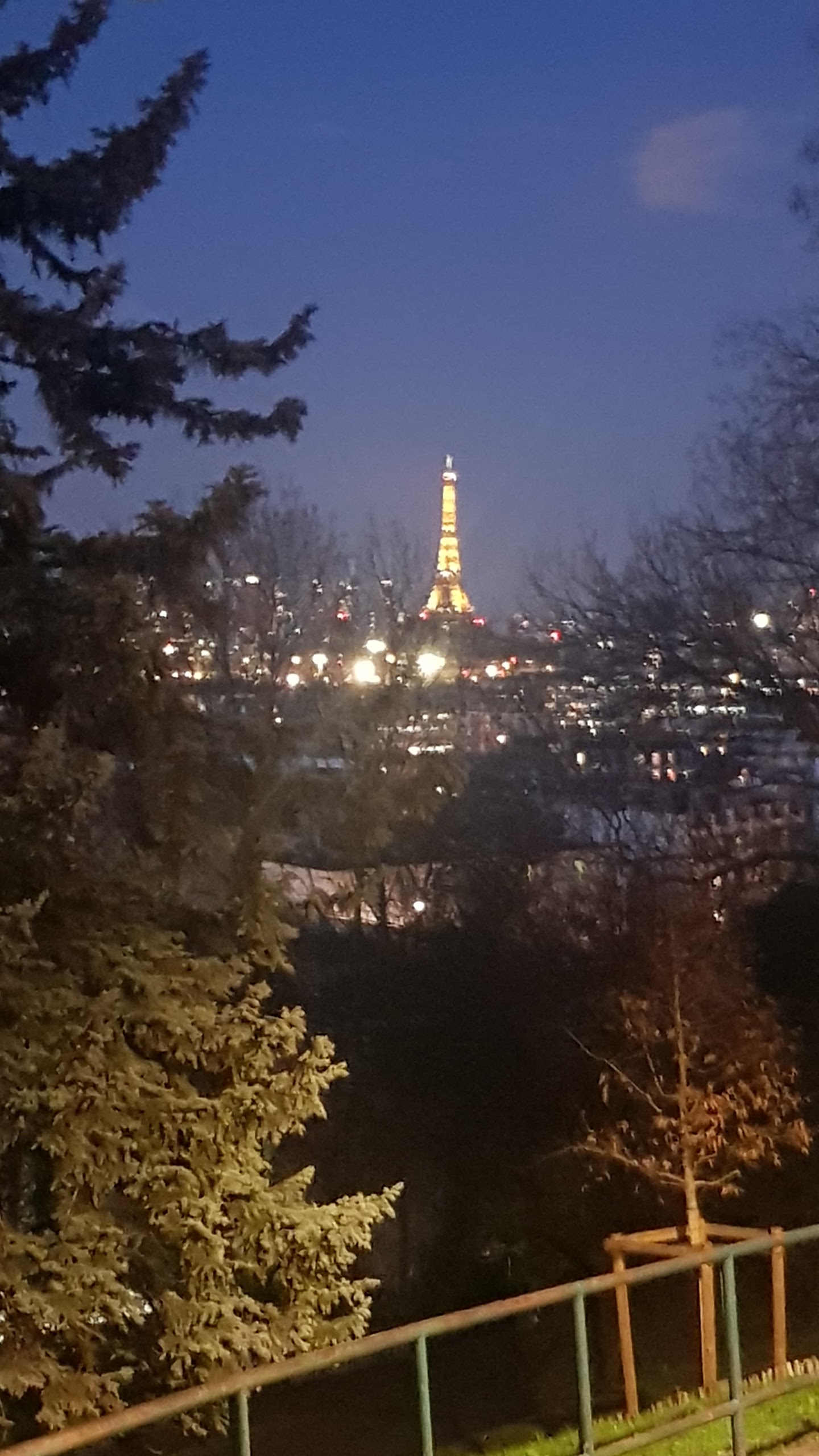 Photo n° 4 de l'avis de Patrice.y fait le 21/01/2021 à 05:58