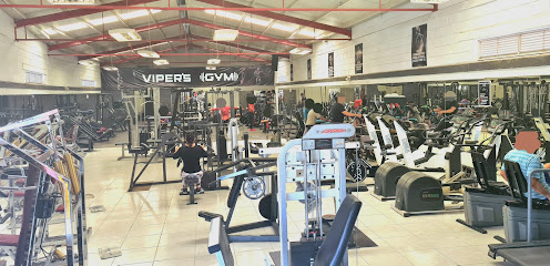 Viper,s Gym - Av. San Martin 973, Parques De La Victoria, 45638 Jal., Mexico