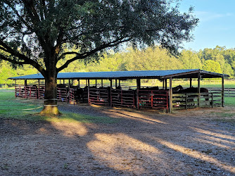 Cactus Jack's Trail Rides