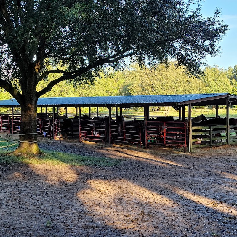 Cactus Jack's Trail Rides