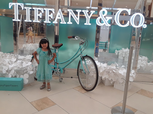Jewelry Store «Tiffany & Co.», reviews and photos, 19575 Biscayne Blvd, Aventura, FL 33180, USA