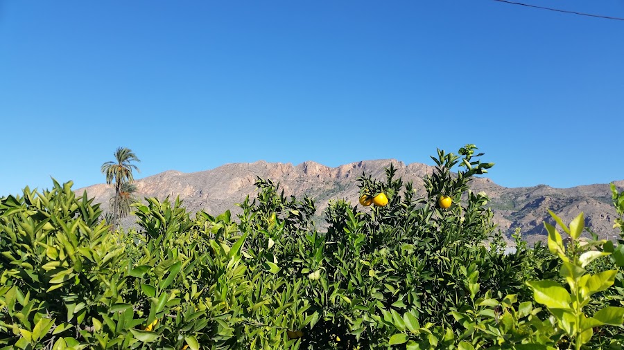 Bar restaurante El Mortero