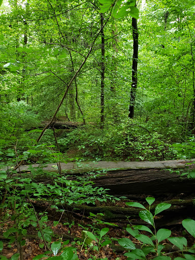 Nature Preserve «White Clay Creek State Park Nature Center», reviews and photos, 1475 Creek Rd, Newark, DE 19711, USA