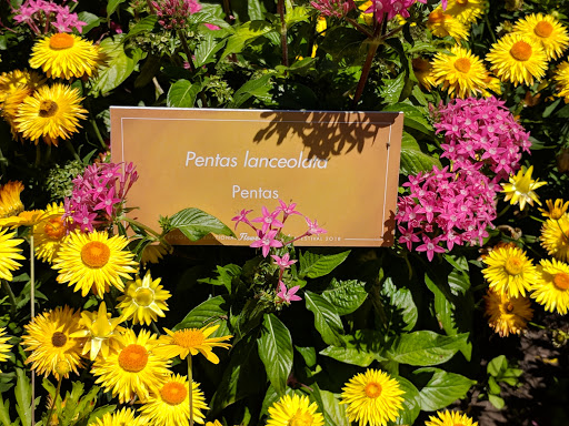 Theme Park «Epcot», reviews and photos, 200 Epcot Center Dr, Orlando, FL 32821, USA