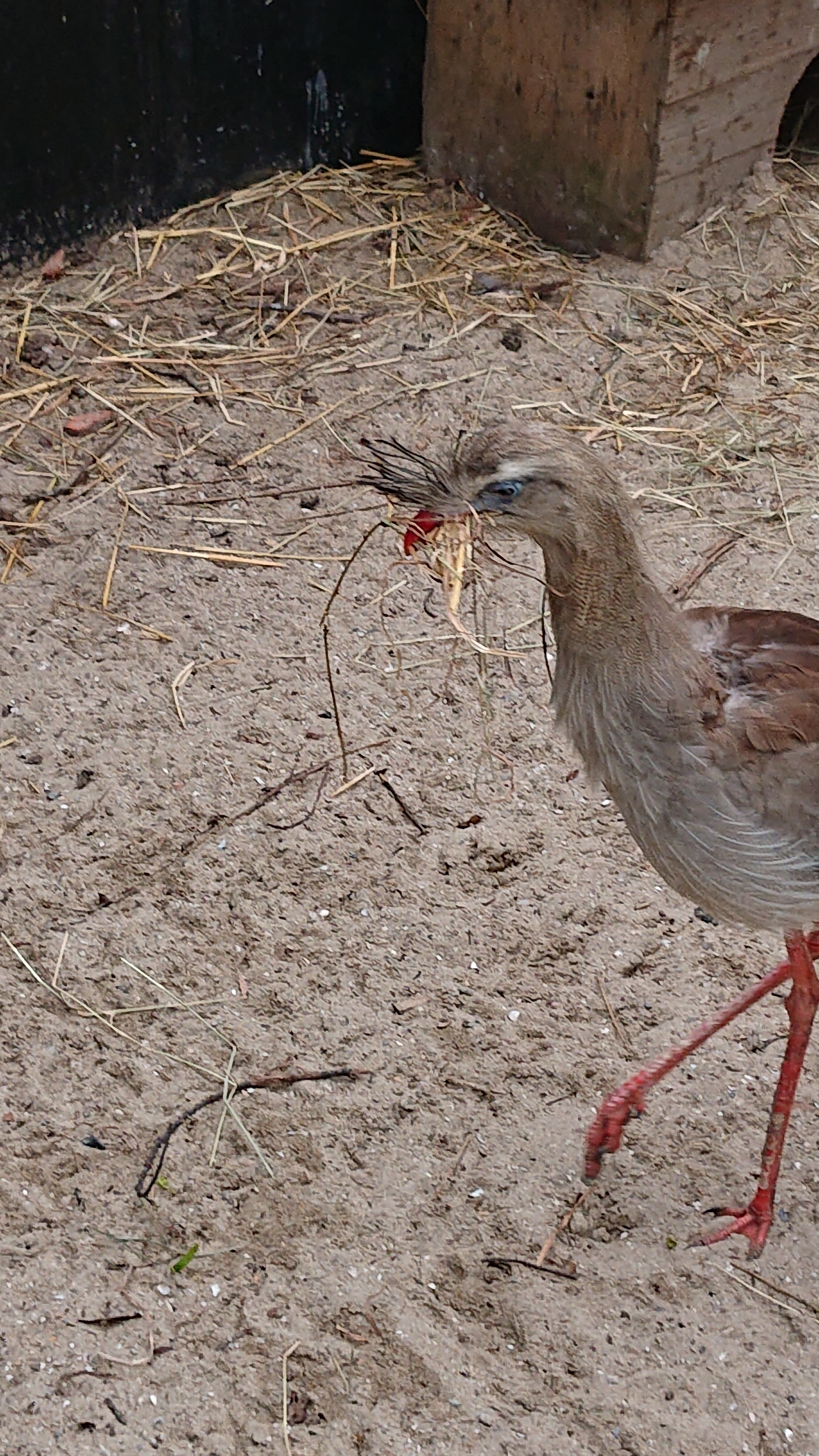 Photo n° 4 de l'avis de Otaries.a fait le 26/03/2019 à 09:02