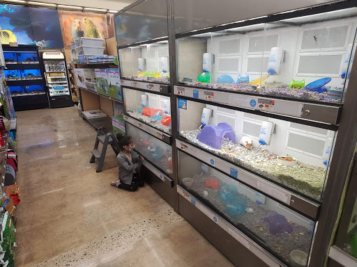 Pet Supply Store «Petco Animal Supplies», reviews and photos, 1215-1309 NJ-33 #1, Hamilton Township, NJ 08690, USA