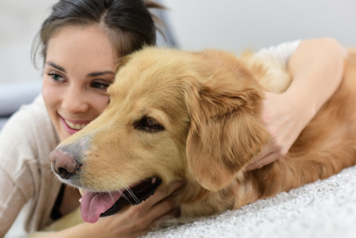 Host a Pet | Cuidadores de perros | Consentirán a tu perrito en su casa como tu lo harías