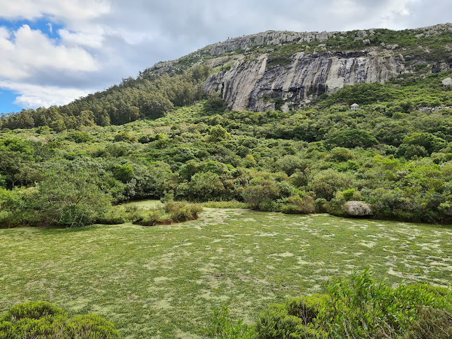 Reserva de Flora y Fauna Autóctona del Cerro Pan de Azúcar