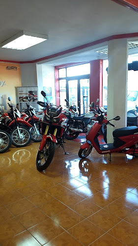 Opiniones de ESR MOTOS en Valdivia - Tienda de motocicletas