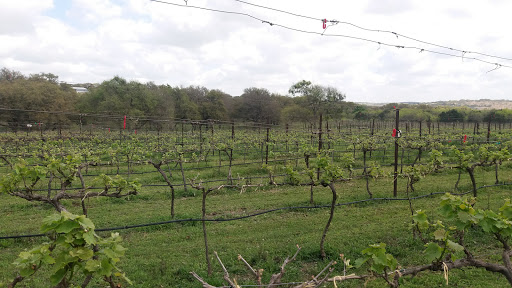 Winery «Westcave Cellars Winery», reviews and photos, 25711 Hamilton Pool Rd, Round Mountain, TX 78663, USA