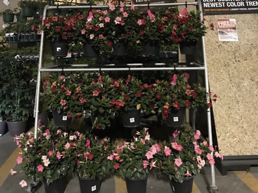 Home Improvement Store «The Home Depot», reviews and photos, 12131 Beach Blvd, Stanton, CA 90680, USA