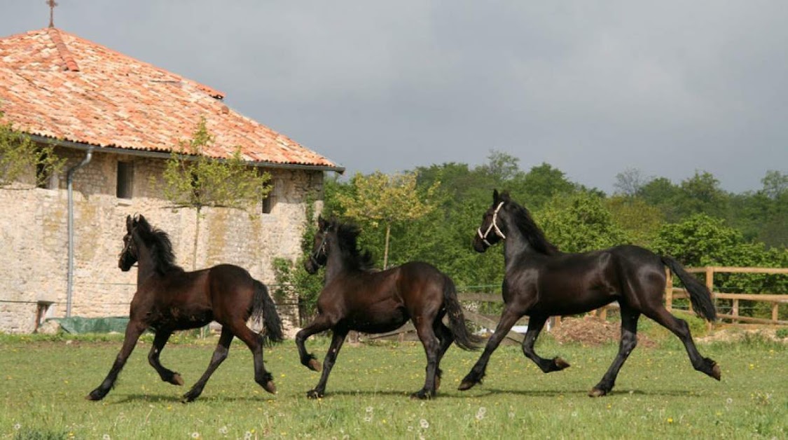 WiesenBett Domaine De Saint-Christophe Saint-Mihiel