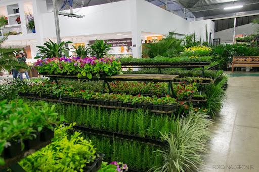 Centro de jardinagem Curitiba