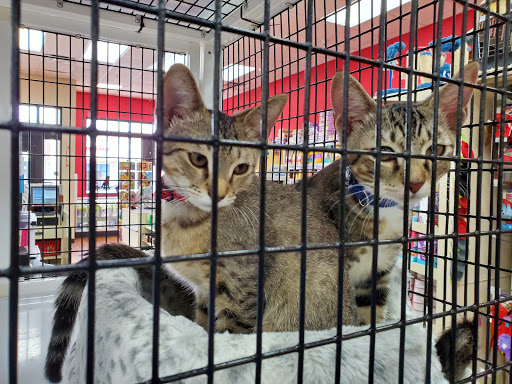Pet Supply Store «Pet Supermarket», reviews and photos, 7070 College Pkwy, Fort Myers, FL 33907, USA