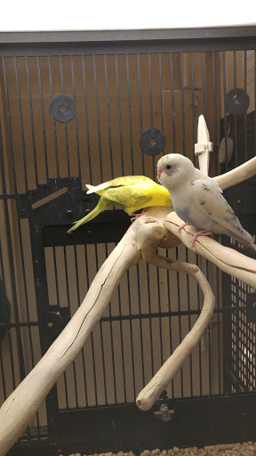 Pet Supply Store «PetSmart», reviews and photos, 13241 Gateway Center Dr, Gainesville, VA 20155, USA