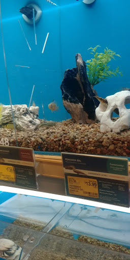 Pet Supply Store «PetSmart», reviews and photos, 467 Cross Keys Rd, Sicklerville, NJ 08081, USA