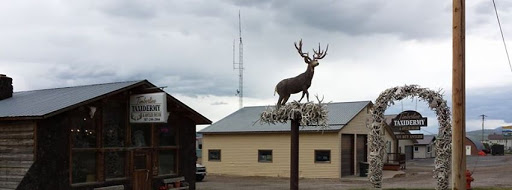 Timberline Taxidermy & Antler Decor
