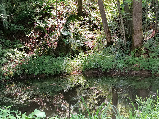 Tourist Attraction «High Rock Adventures - Hocking Hills Ecotours», reviews and photos, 10108 Opossum Hollow Rd, Rockbridge, OH 43149, USA