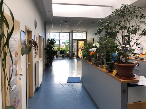 Veterinary practice Dr.med.vet. Sabine Duschner unter Wendelstein, Bayern