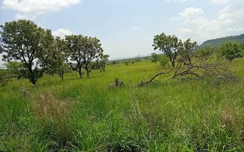 Pian Upe Game Reserve image