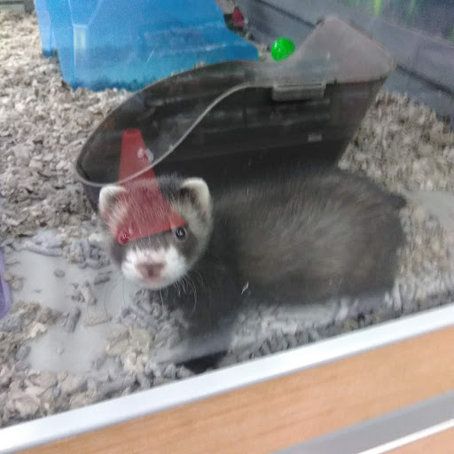 Pet Supply Store «Petco Animal Supplies», reviews and photos, 1255 Raritan Rd #140, Clark, NJ 07066, USA