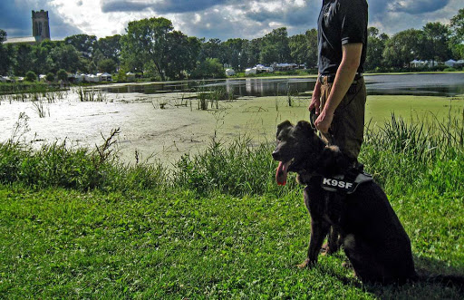 K9SF Dog Training