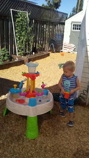 Non-Profit Organization «The Living Room Center», reviews and photos