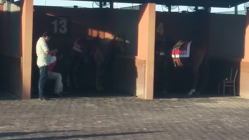 Casino «Evangeline Downs Racetrack & Casino», reviews and photos, 2235 Cresswell Lane Extension, Opelousas, LA 70570, USA