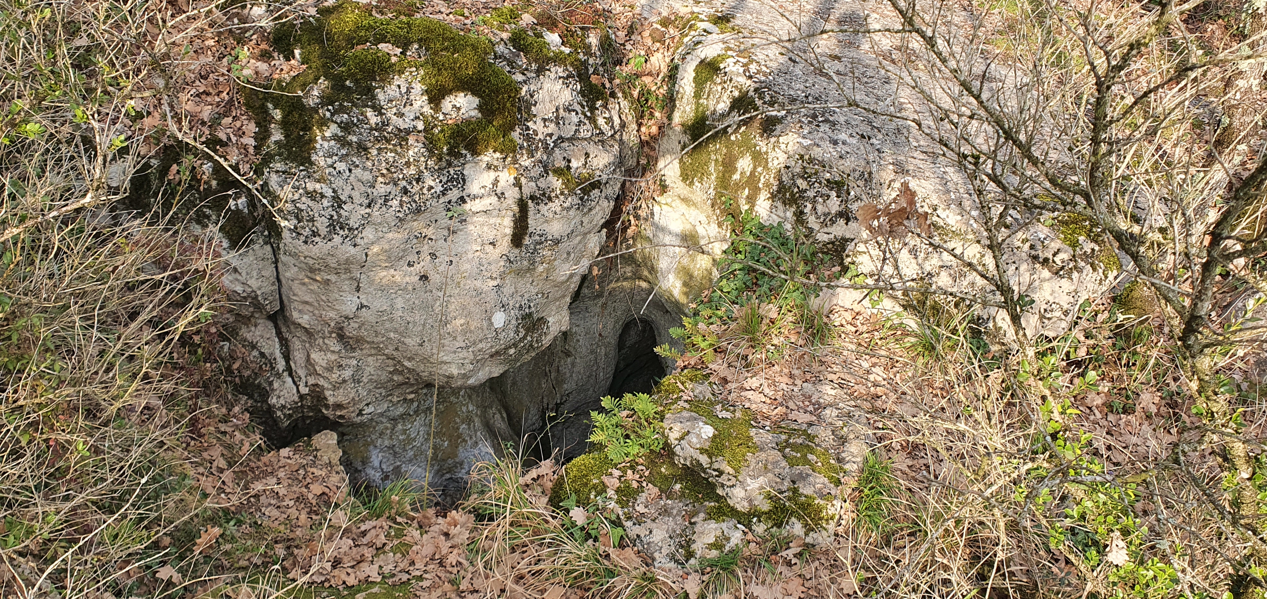Photo n° 1 de l'avis de Olivier. fait le 27/02/2021 à 17:50