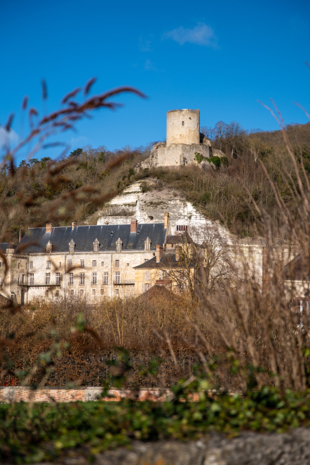 Photo n° 10 de l'avis de Océane. fait le 11/03/2022 à 15:01