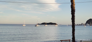 Photo n°56 de SeaQuest La Ciotat à La Ciotat ()