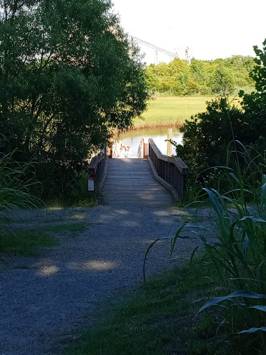 Nature Preserve «Paradise Creek», reviews and photos, Giant Cement Dr, Portsmouth, VA 23702, USA