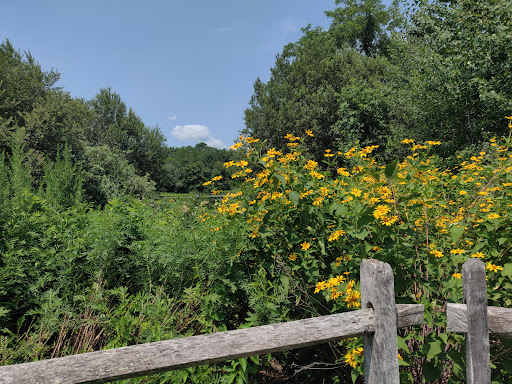 Park «Acushnet Sawmill», reviews and photos, 32 Mill Rd, Acushnet, MA 02743, USA