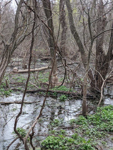 Spring Creek Nature Trail