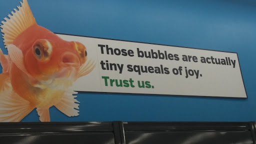 Pet Supply Store «Pet Supplies Plus», reviews and photos, 21703 Village Lakes Shopping Center Dr, Land O Lakes, FL 34639, USA