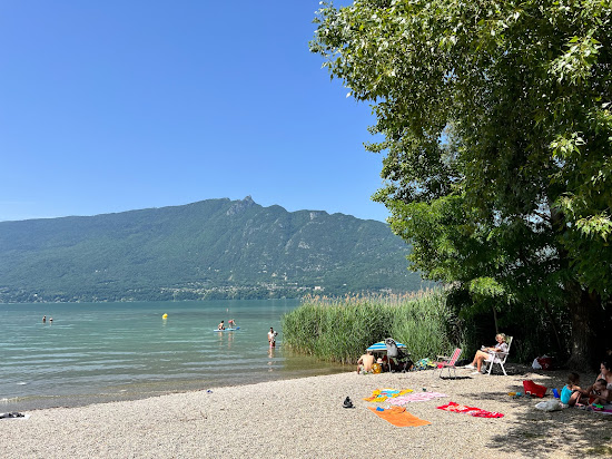Rowing Beach
