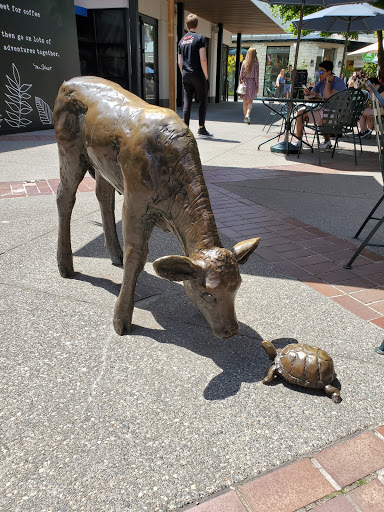 Computer Store «Apple University Village», reviews and photos, 2656 NE University Village St, Seattle, WA 98105, USA