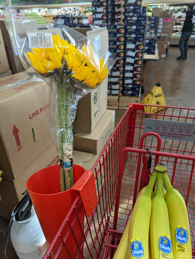 Shopping Mall «Gateway Shopping Center», reviews and photos, 221 E Swedesford Rd, Wayne, PA 19087, USA