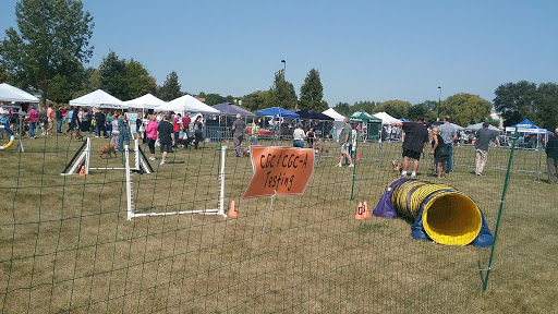 Park «Hampe Park», reviews and photos, 297 W Lies Rd, Carol Stream, IL 60188, USA