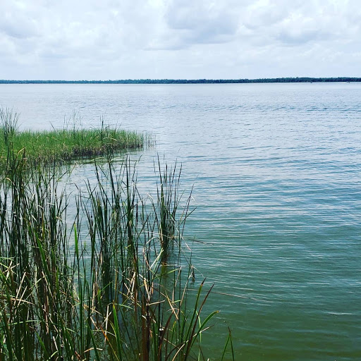 Event Venue «Tavares Pavilion on the Lake», reviews and photos, 200 S Disston Ave, Tavares, FL 32778, USA