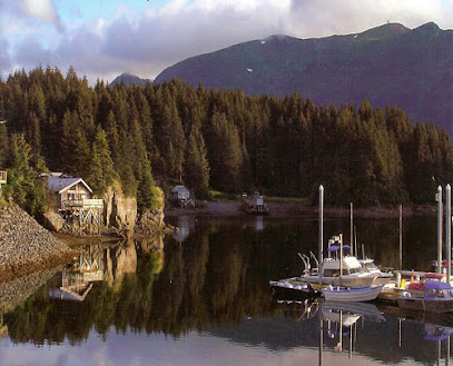 Alaska Dancing Eagles Vacation Cabin Rental