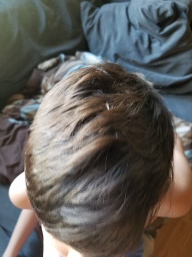 Hair Salon «Great Clips», reviews and photos, 411 Barnum Avenue Cutoff, Stratford, CT 06614, USA