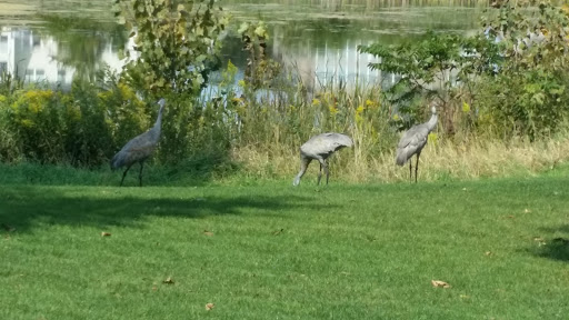 Golf Course «Bowes Creek Country Club», reviews and photos, 1250 Bowes Creek Blvd, Elgin, IL 60124, USA