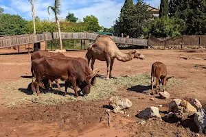 ZooParc Du Cannet Des Maures image