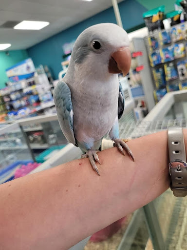 Pet Store «Friendly Pets», reviews and photos, 625 Friendly Center Rd, Greensboro, NC 27408, USA