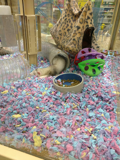 Pet Supply Store «Pet Supermarket», reviews and photos, 268 Grande Heights Dr, Cary, NC 27513, USA