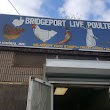 Bridgeport Live Poultry
